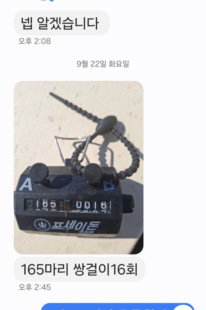 9월 27일 갑오징어 선상낚시 조황 현장 사진 18