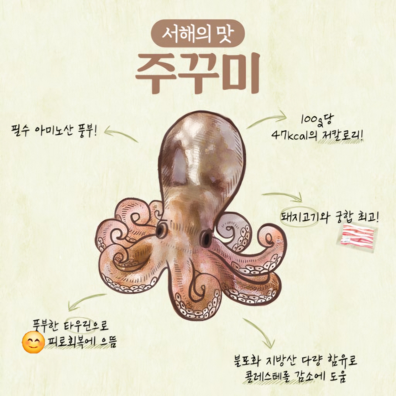 9월 22일 군산 갑오징어 선상낚시 조황 현장 사진 8