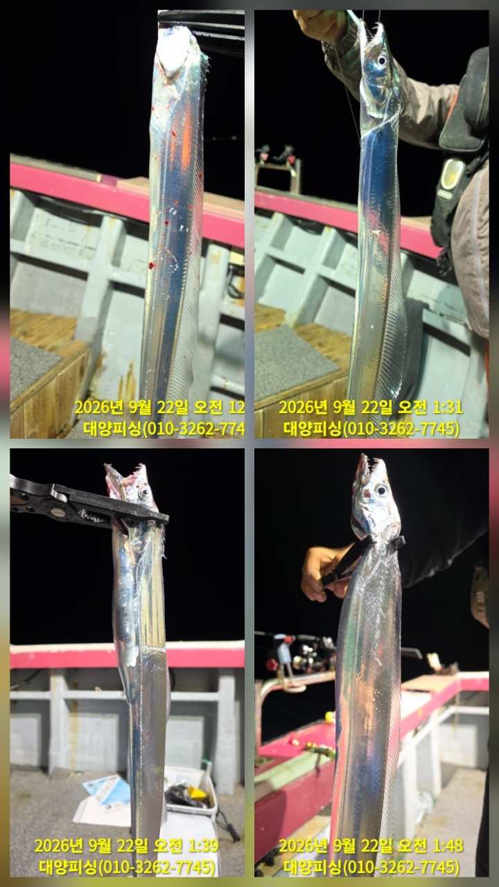 9월 22일 남해 선상낚시 조황 현장 사진 3