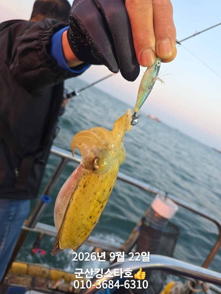9월 22일 군산 주꾸미 선상낚시 조황 현장 사진 7