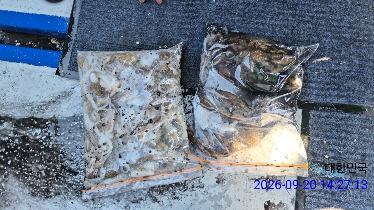 9월 22일 삼천포 문어 선상낚시 조황 현장 사진 3