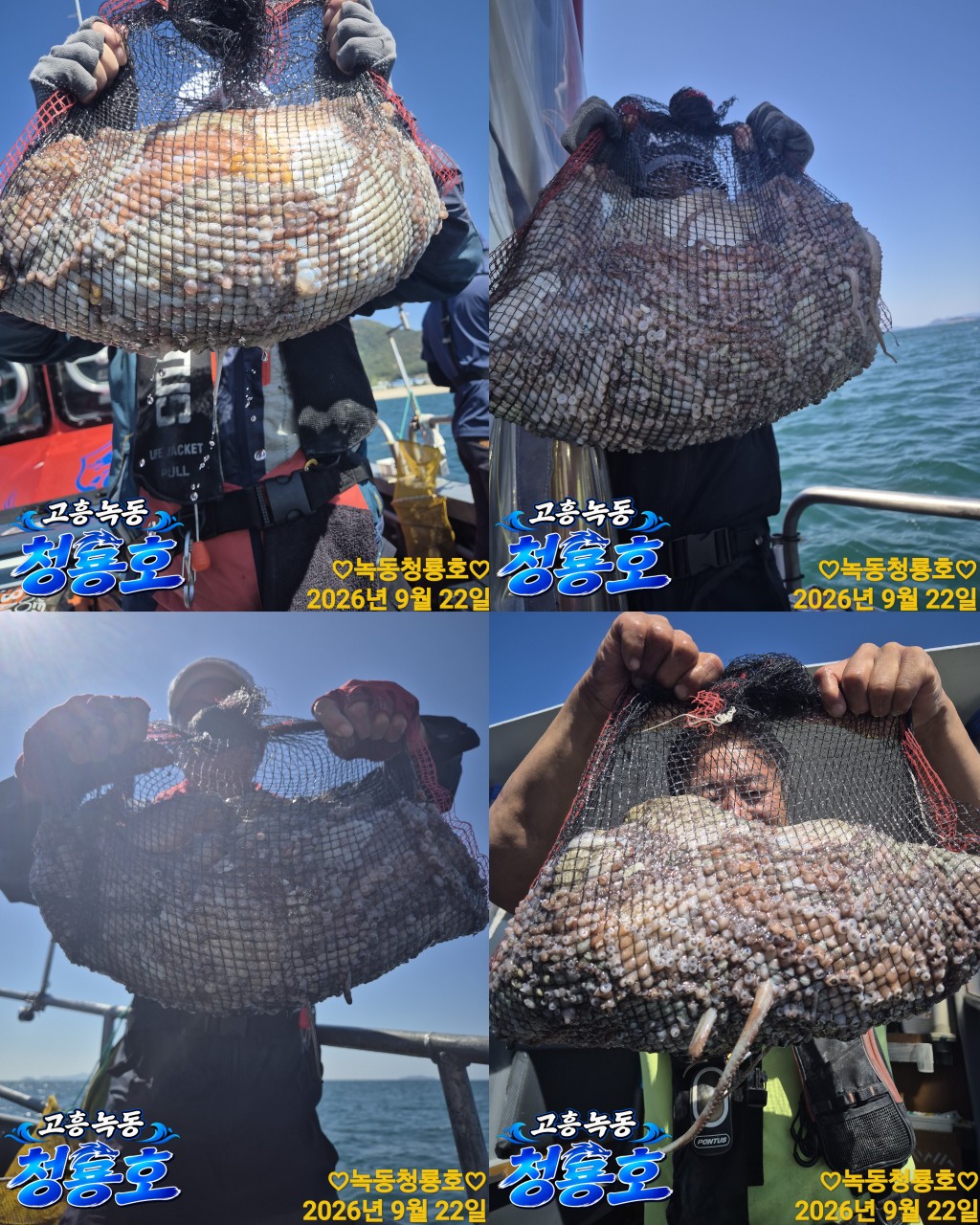 9월 22일 문어 선상낚시 조황 현장 사진 3