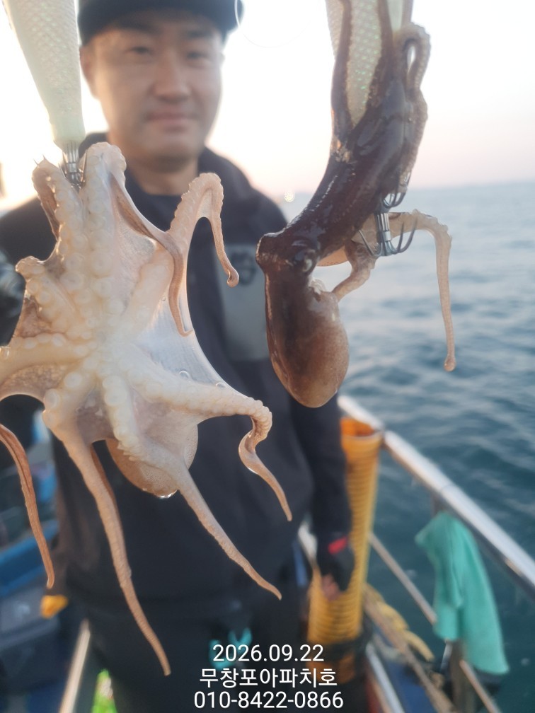 9월 22일 포항 주꾸미 선상낚시 조황 현장 사진 18