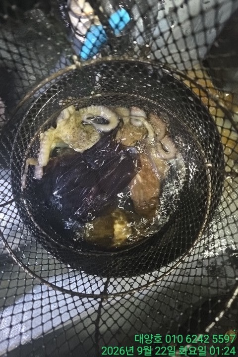 ����ڰ� �ø� �̹���