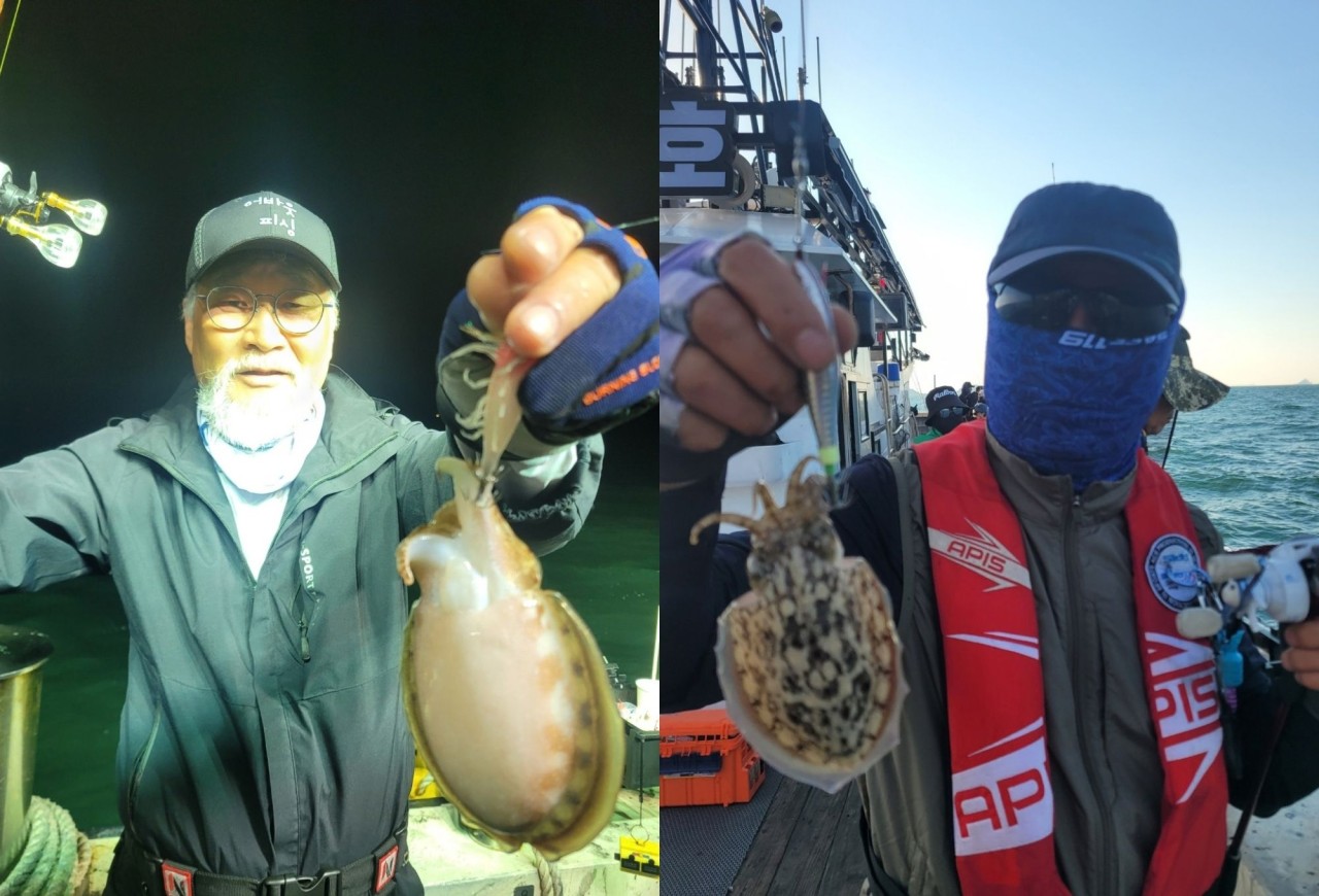 9월 22일 인천 갑오징어 선상낚시 조황 현장 사진 17