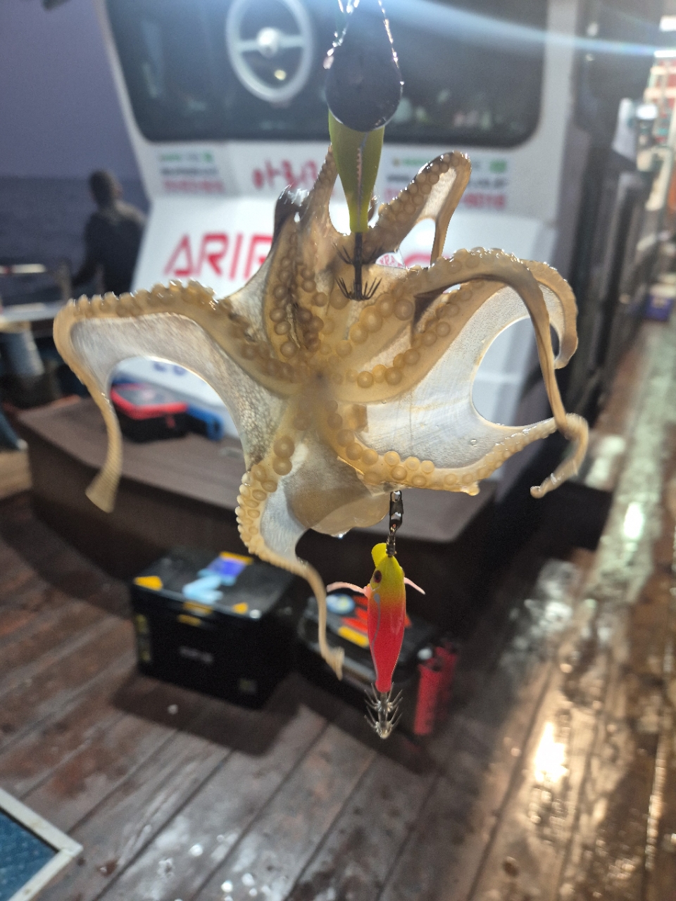 9월 22일 선상낚시 조황 현장 사진 16