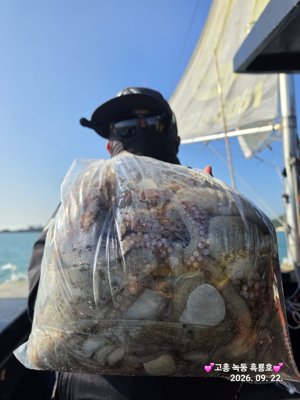 9월 22일 문어 선상낚시 조황 현장 사진 2