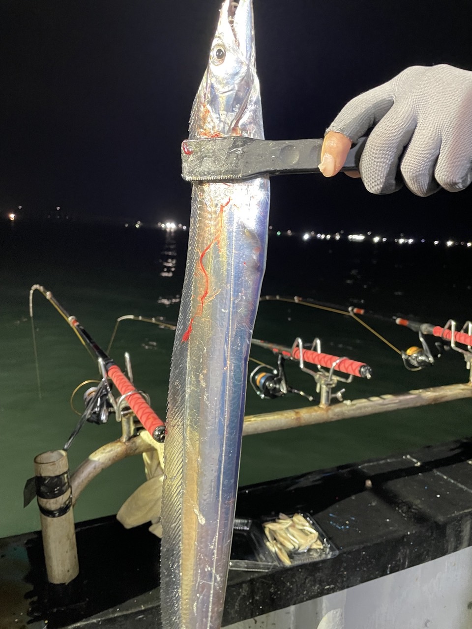 9월 22일 목포 갈치 선상낚시 조황 현장 사진 17