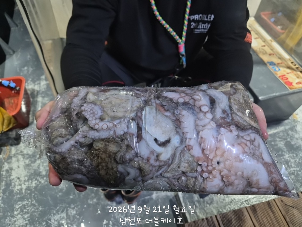 9월 22일 문어 선상낚시 조황 현장 사진 5