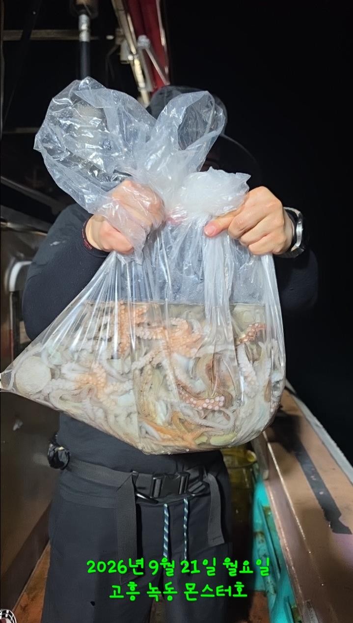 9월 22일 문어 선상낚시 조황 현장 사진 10