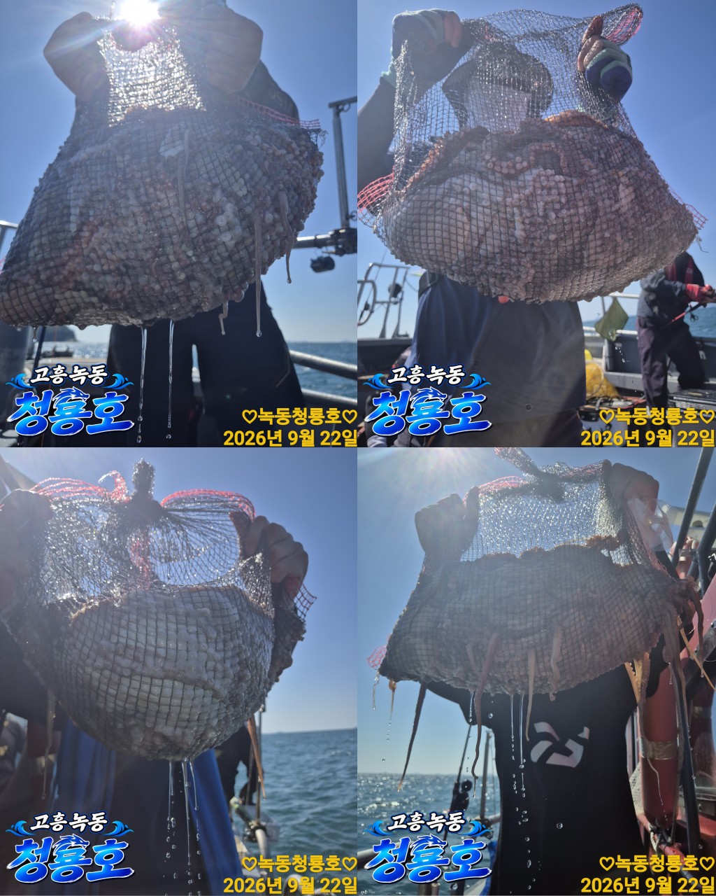 9월 22일 문어 선상낚시 조황 현장 사진 2