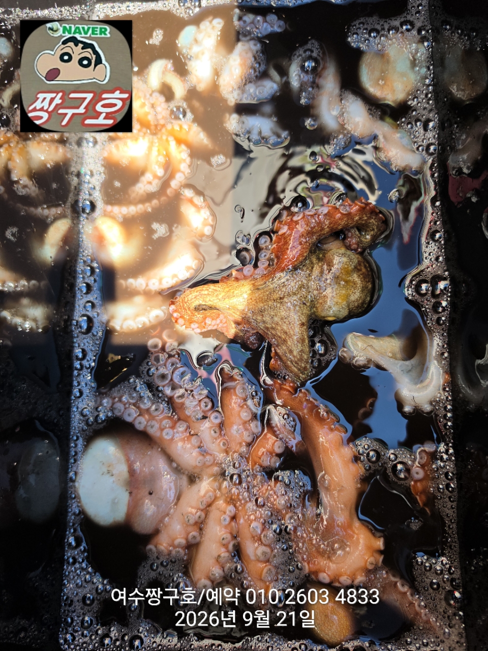 9월 21일 여수 문어 선상낚시 조황 현장 사진 9