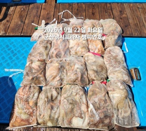 9월 22일 문어 선상낚시 조황 현장 사진 2
