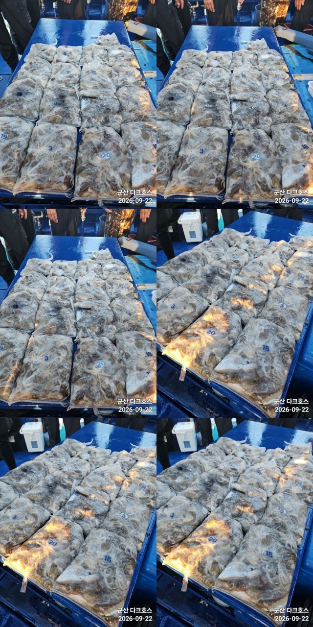 9월 22일 군산 주꾸미 선상낚시 조황 현장 사진 1