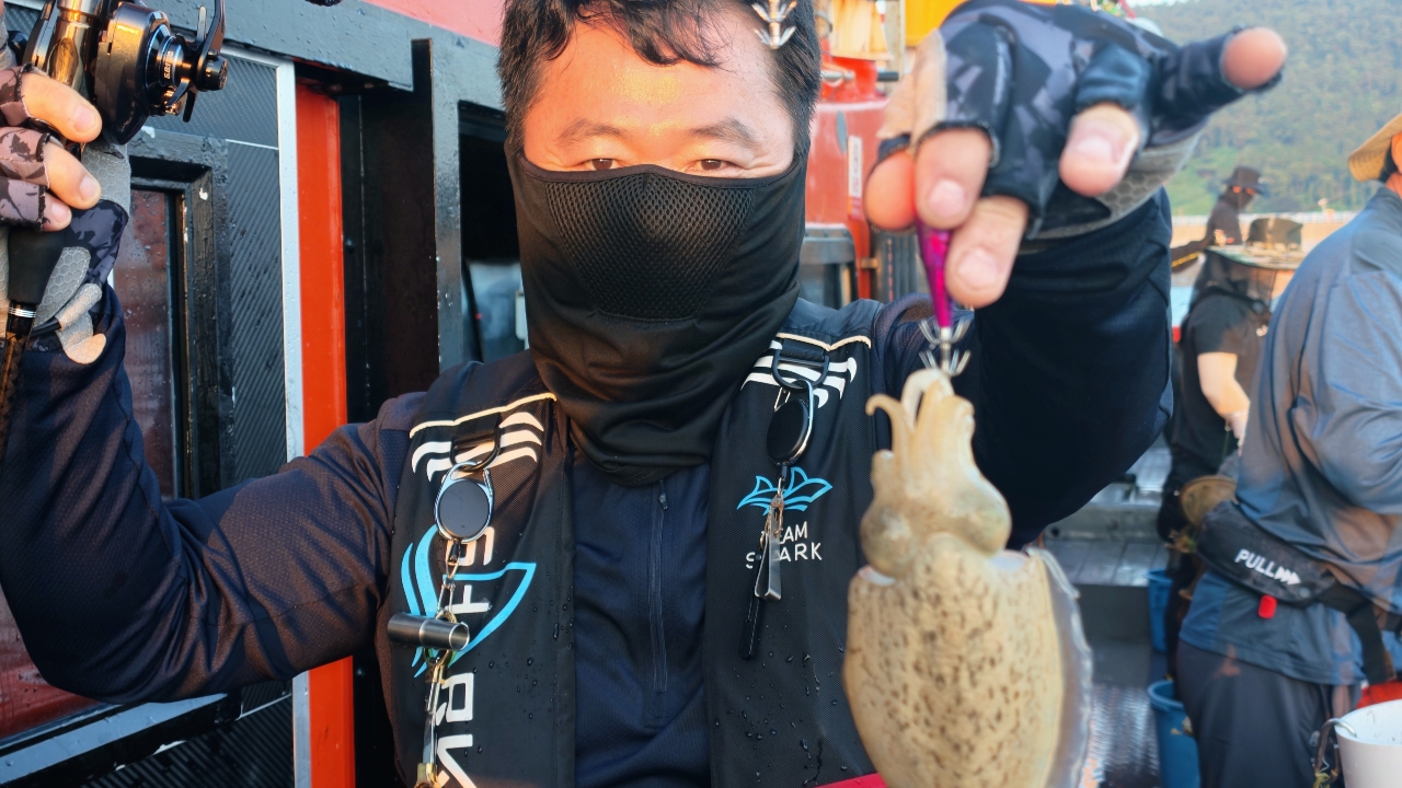 9월 22일 갑오징어 선상낚시 조황 현장 사진 5