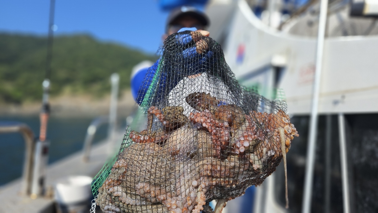 9월 22일 주꾸미 선상낚시 조황 현장 사진 14