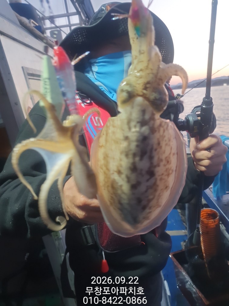 9월 22일 포항 주꾸미 선상낚시 조황 현장 사진 21