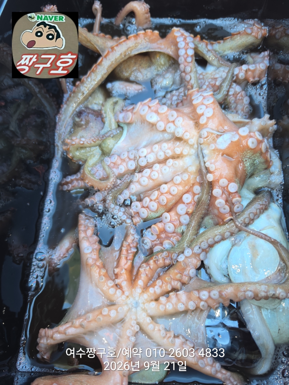 9월 21일 여수 문어 선상낚시 조황 현장 사진 14