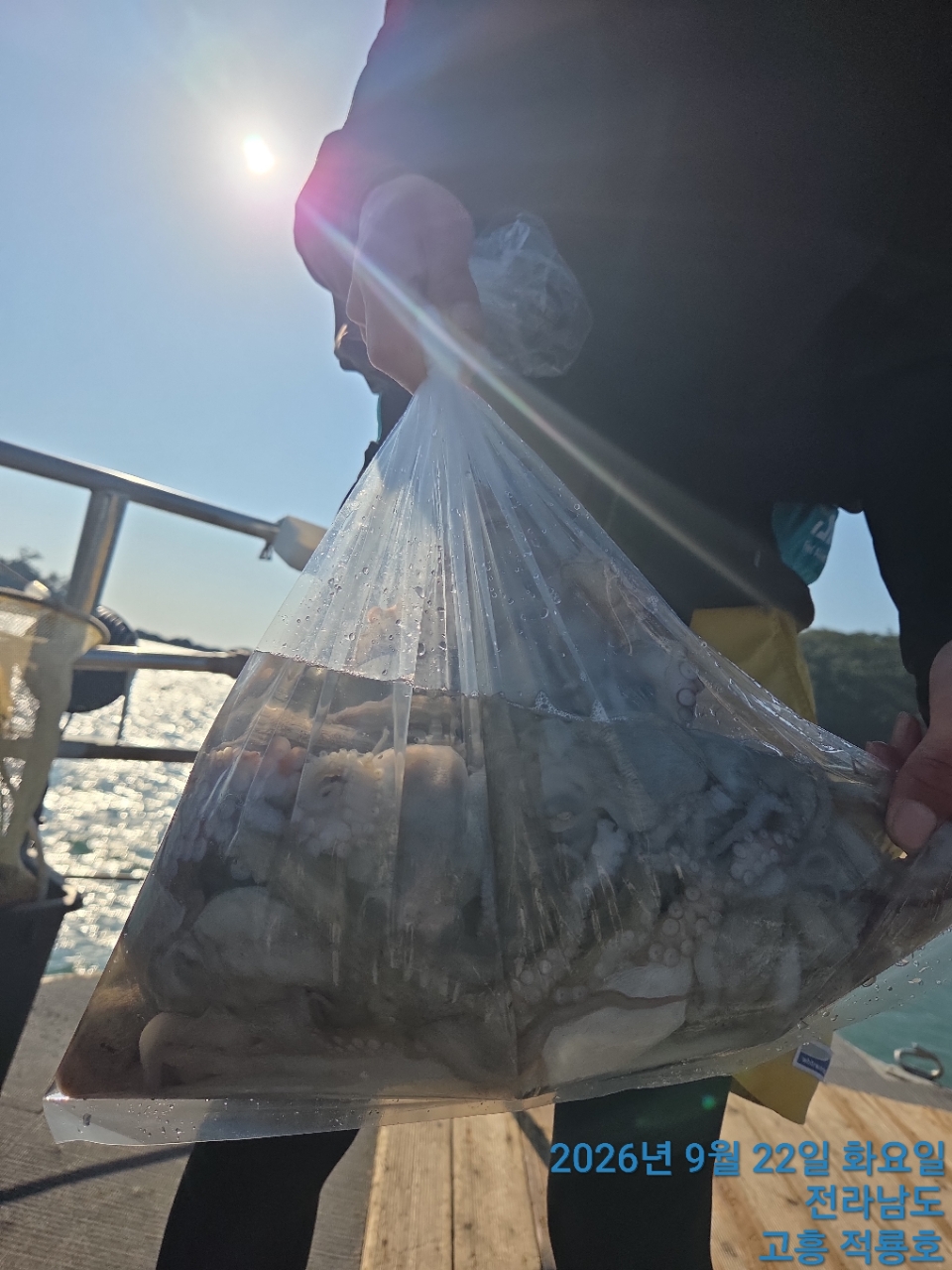 9월 22일 문어 선상낚시 조황 현장 사진 1