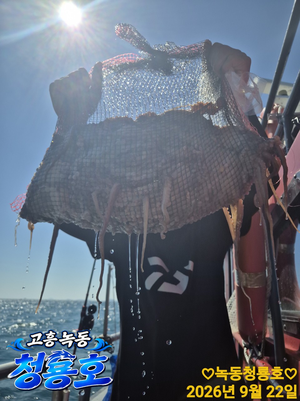 9월 22일 문어 선상낚시 조황 현장 사진 10