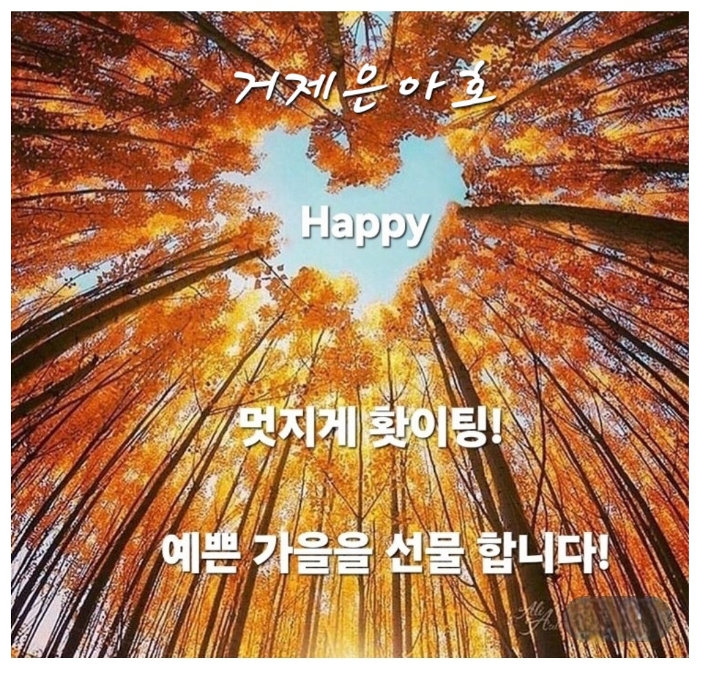 9월 22일 거제 감성돔 선상낚시 조황 현장 사진 1