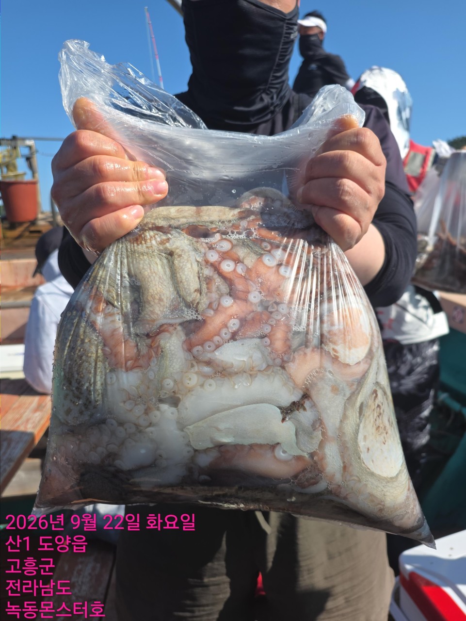 9월 22일 문어 선상낚시 조황 현장 사진 7