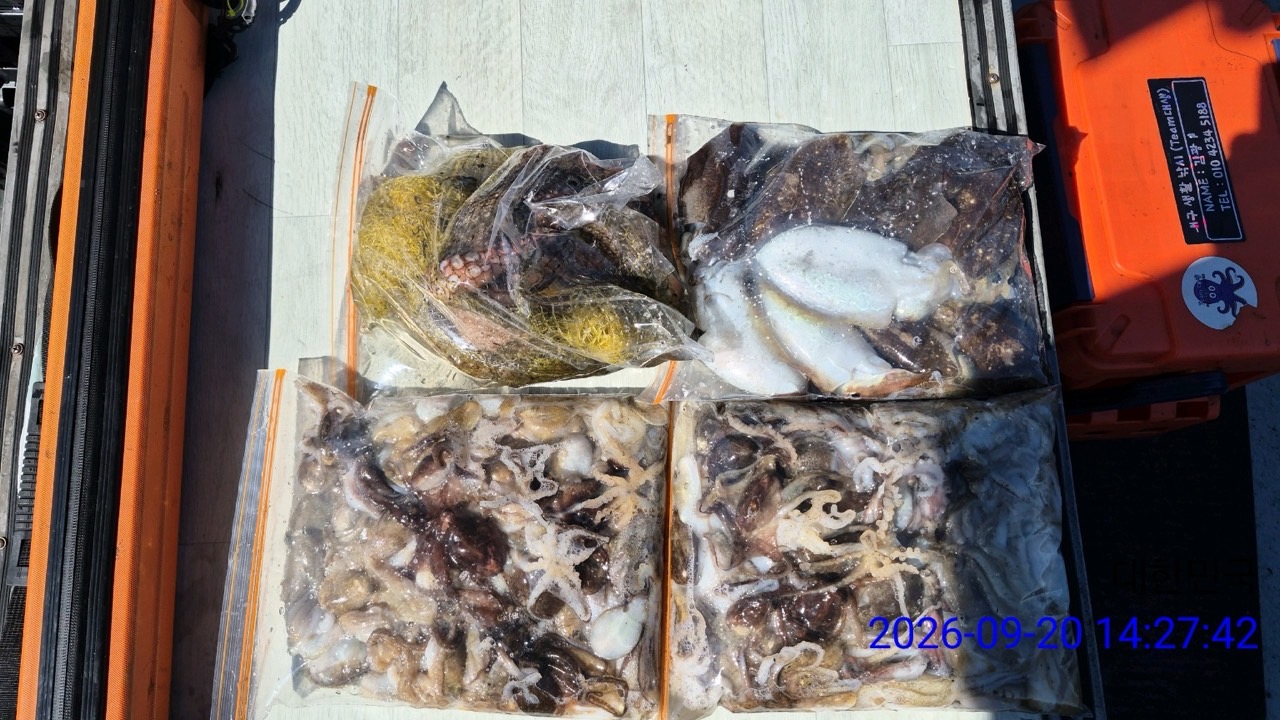 9월 22일 삼천포 문어 선상낚시 조황 현장 사진 2