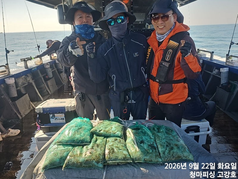 9월 22일 인천 갑오징어 선상낚시 조황 현장 사진 13