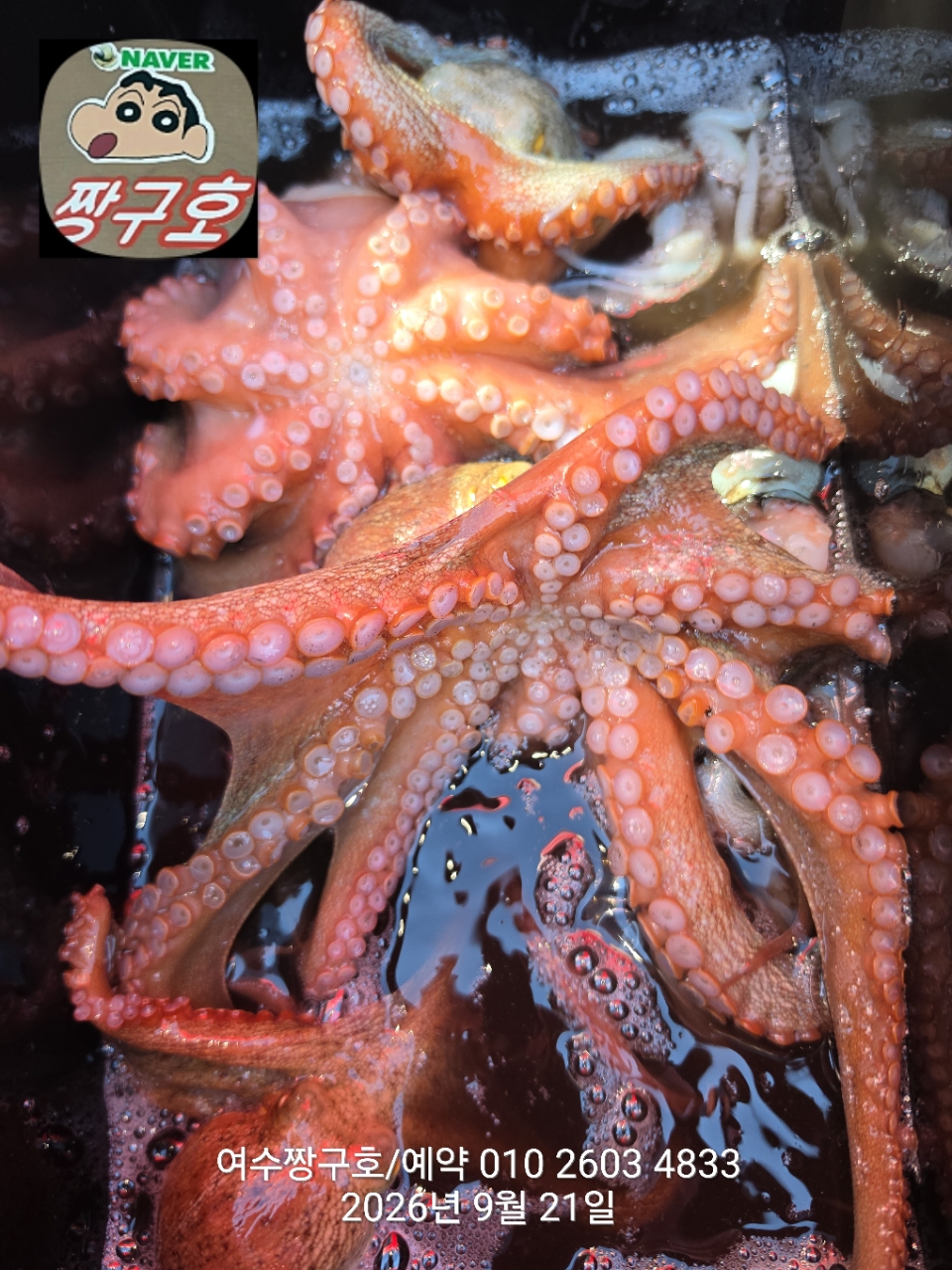 9월 21일 여수 문어 선상낚시 조황 현장 사진 24