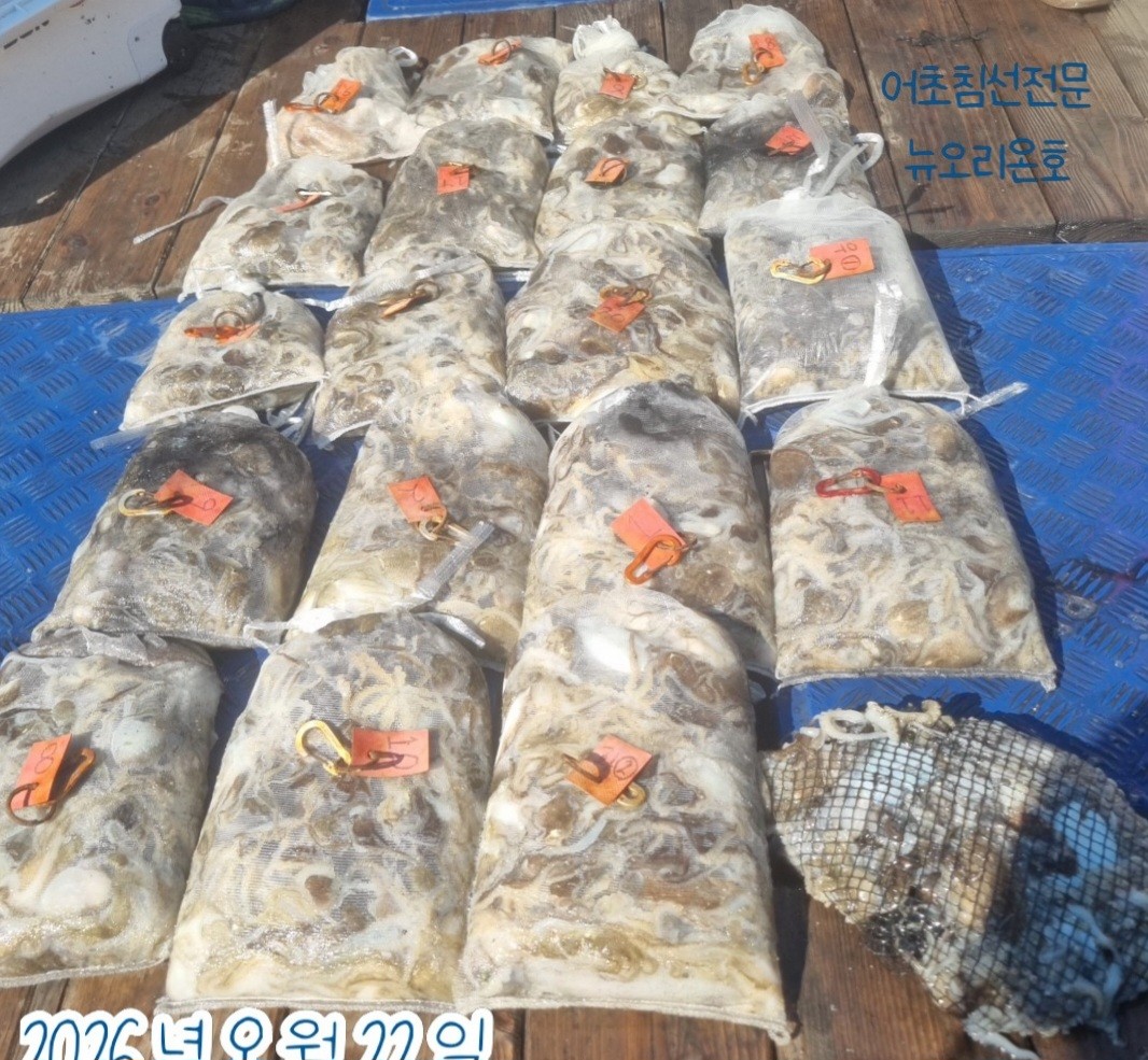 9월 22일 군산 주꾸미 선상낚시 조황 현장 사진 1