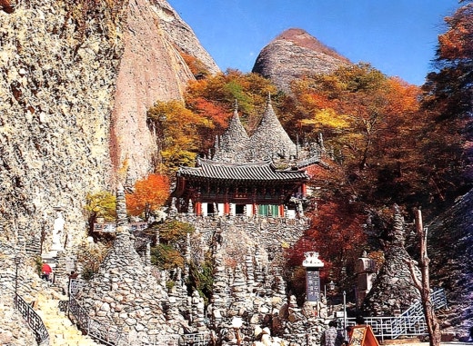 사진