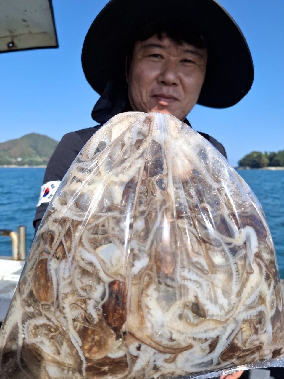 사용자가 올린 이미지