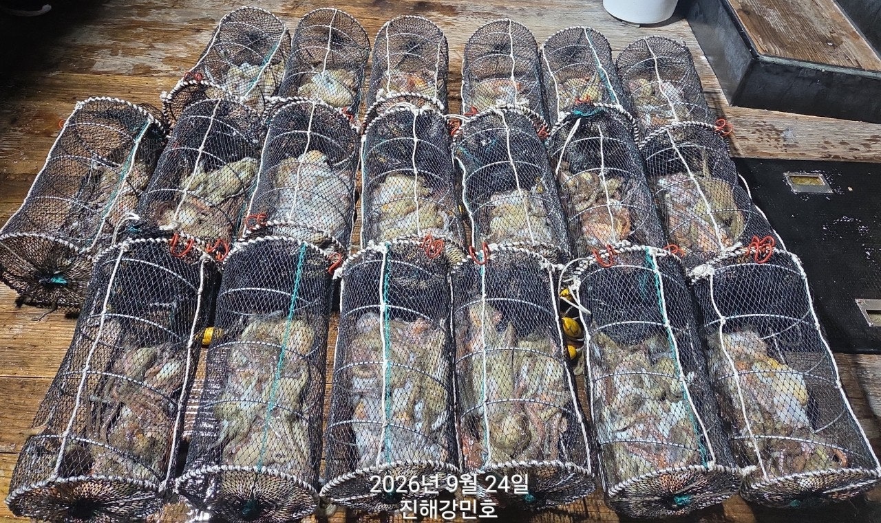 ����ڰ� �ø� �̹���