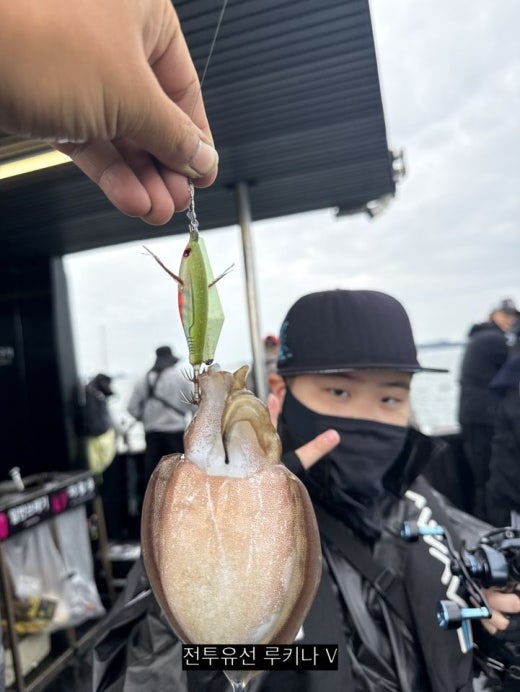 사진