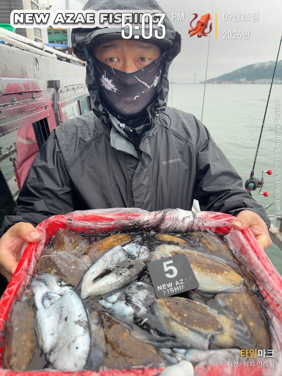 9월 26일 갑오징어 선상낚시 조황 현장 사진 5