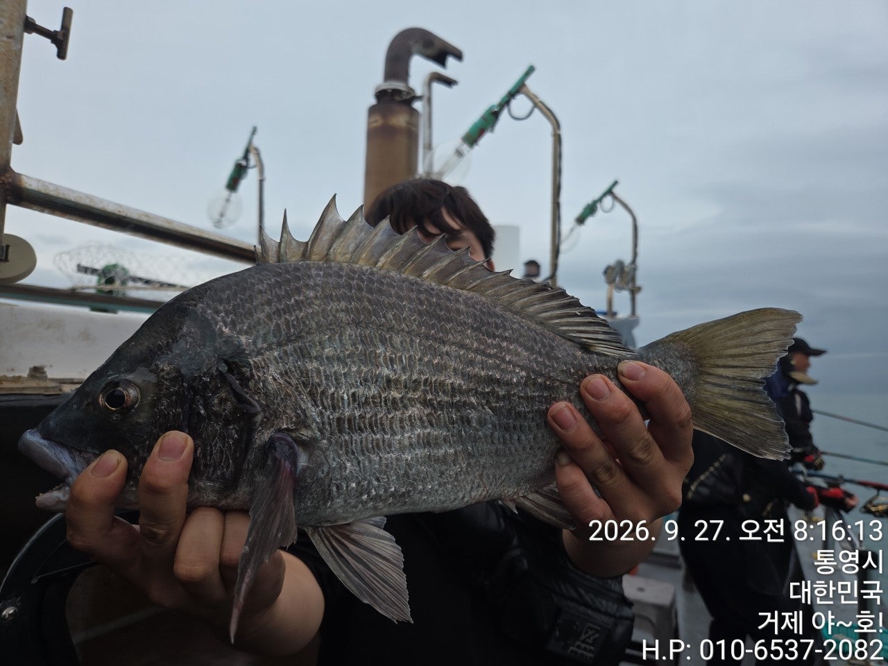 ����ڰ� �ø� �̹���