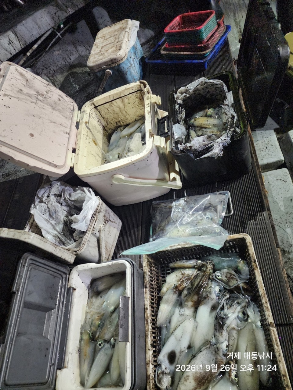 ����ڰ� �ø� �̹���