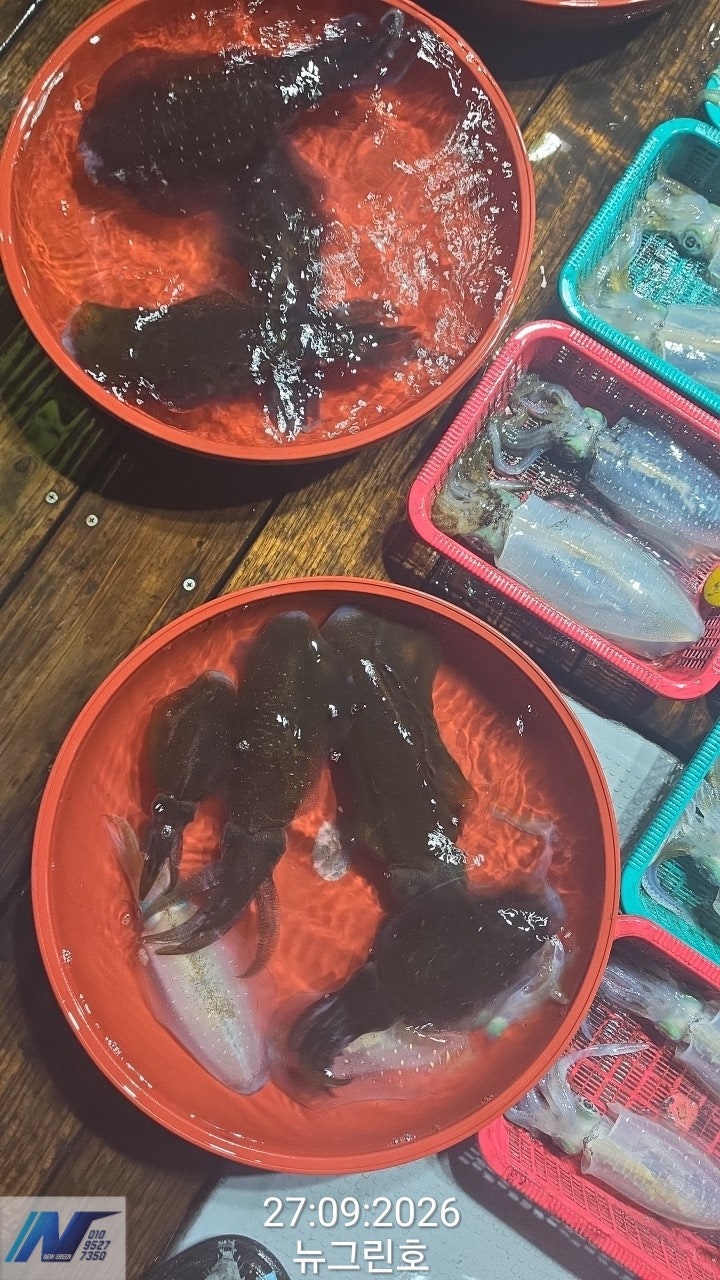 ����ڰ� �ø� �̹���