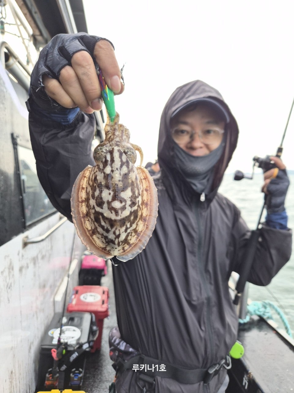 사용자가 올린 이미지