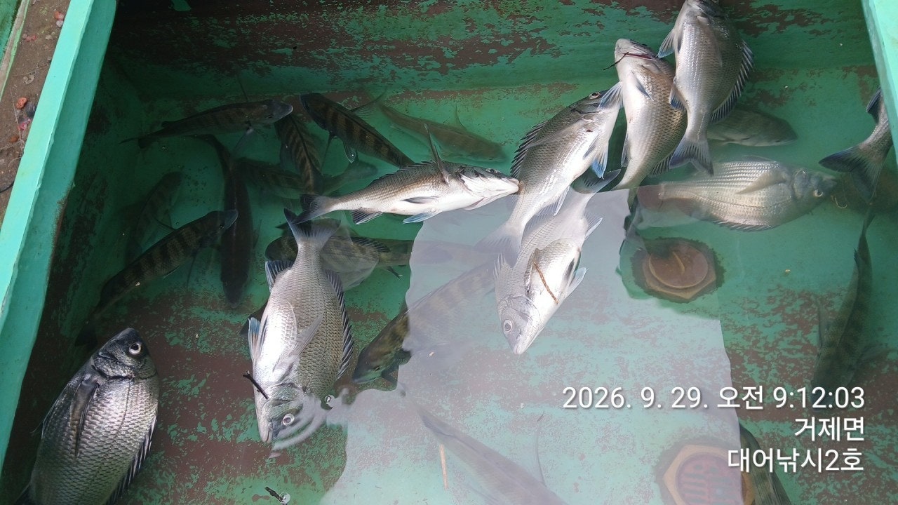 ����ڰ� �ø� �̹���