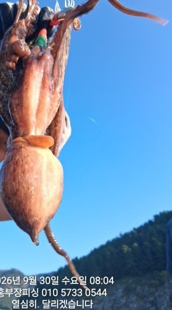 ����ڰ� �ø� �̹���