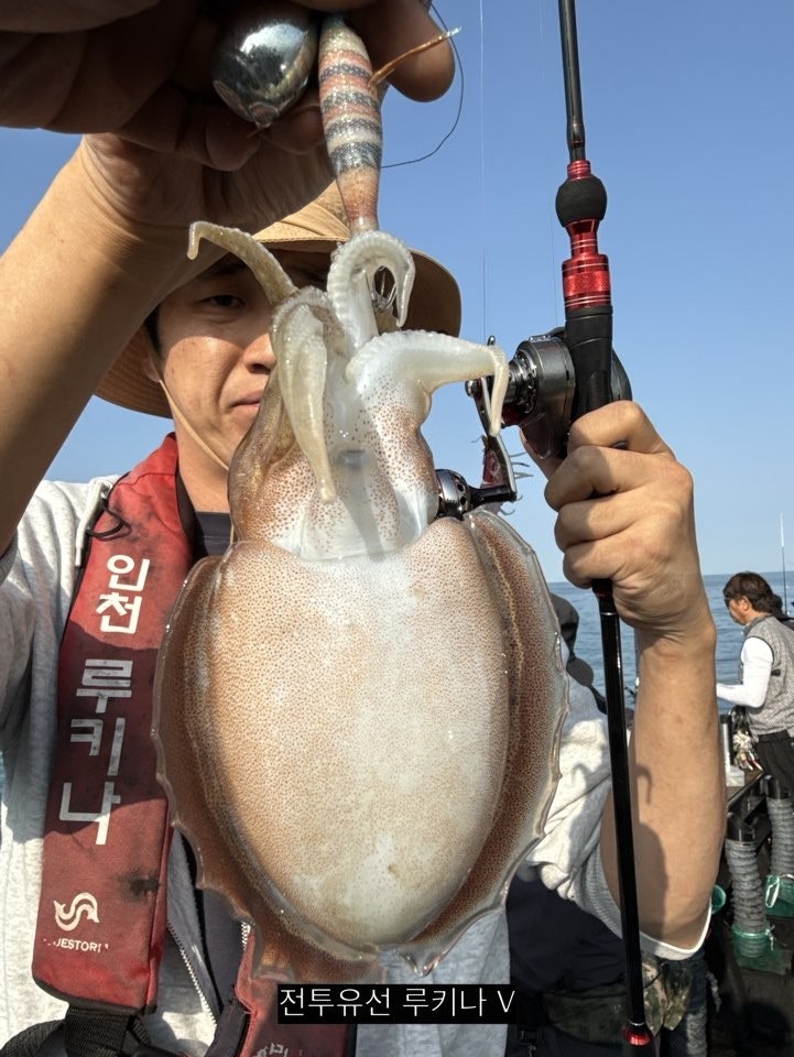 사용자가 올린 이미지