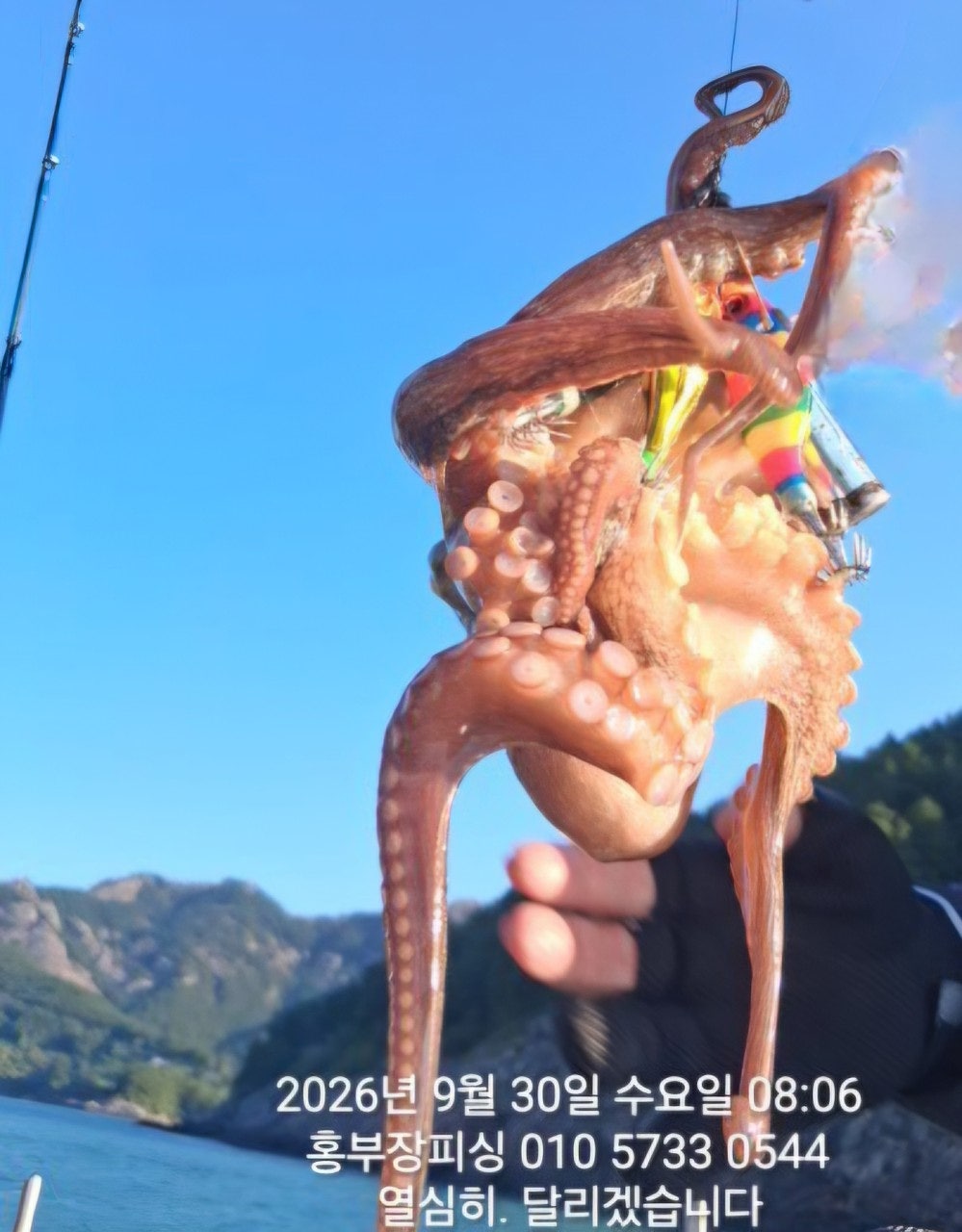 ����ڰ� �ø� �̹���
