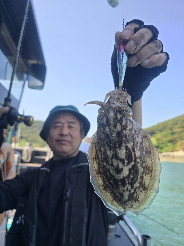 사용자가 올린 이미지