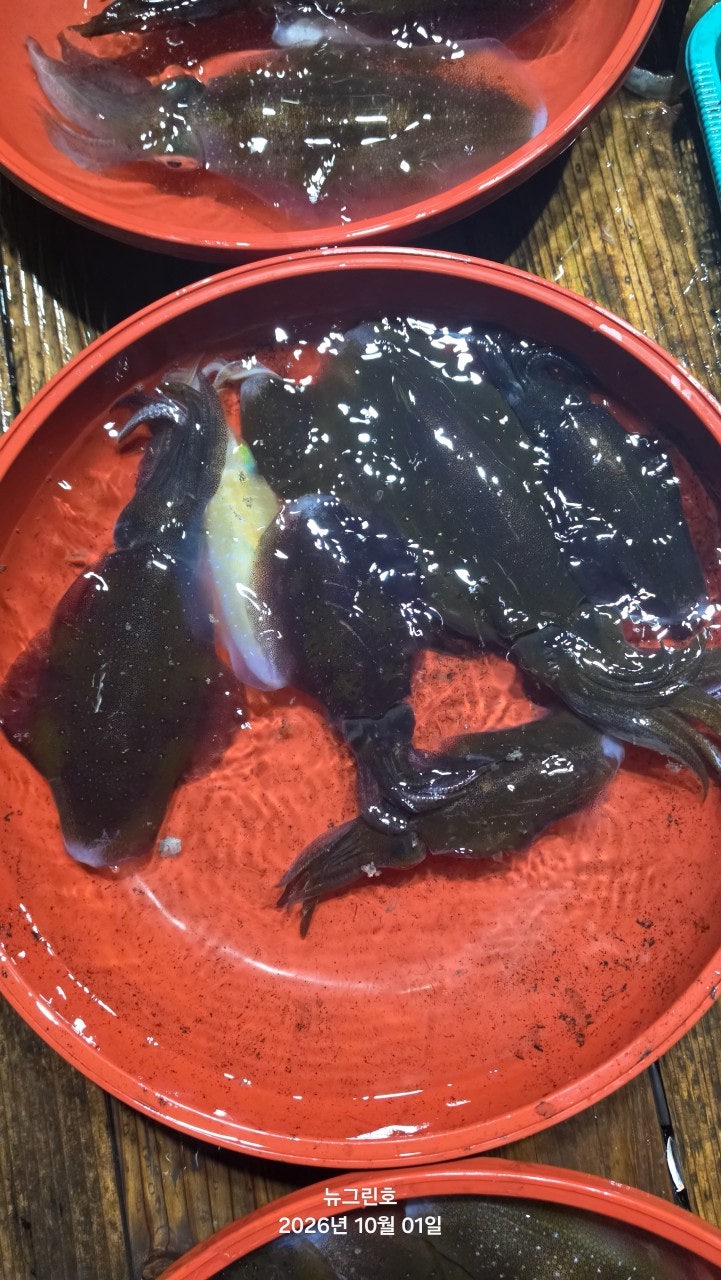 ����ڰ� �ø� �̹���