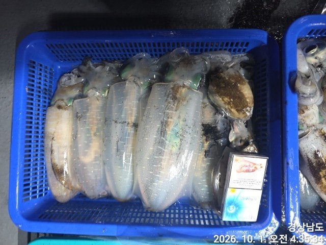 ����ڰ� �ø� �̹���