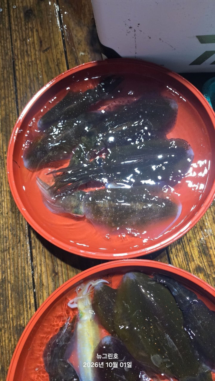 ����ڰ� �ø� �̹���