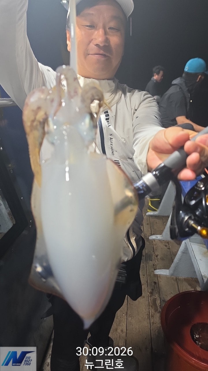 ����ڰ� �ø� �̹���