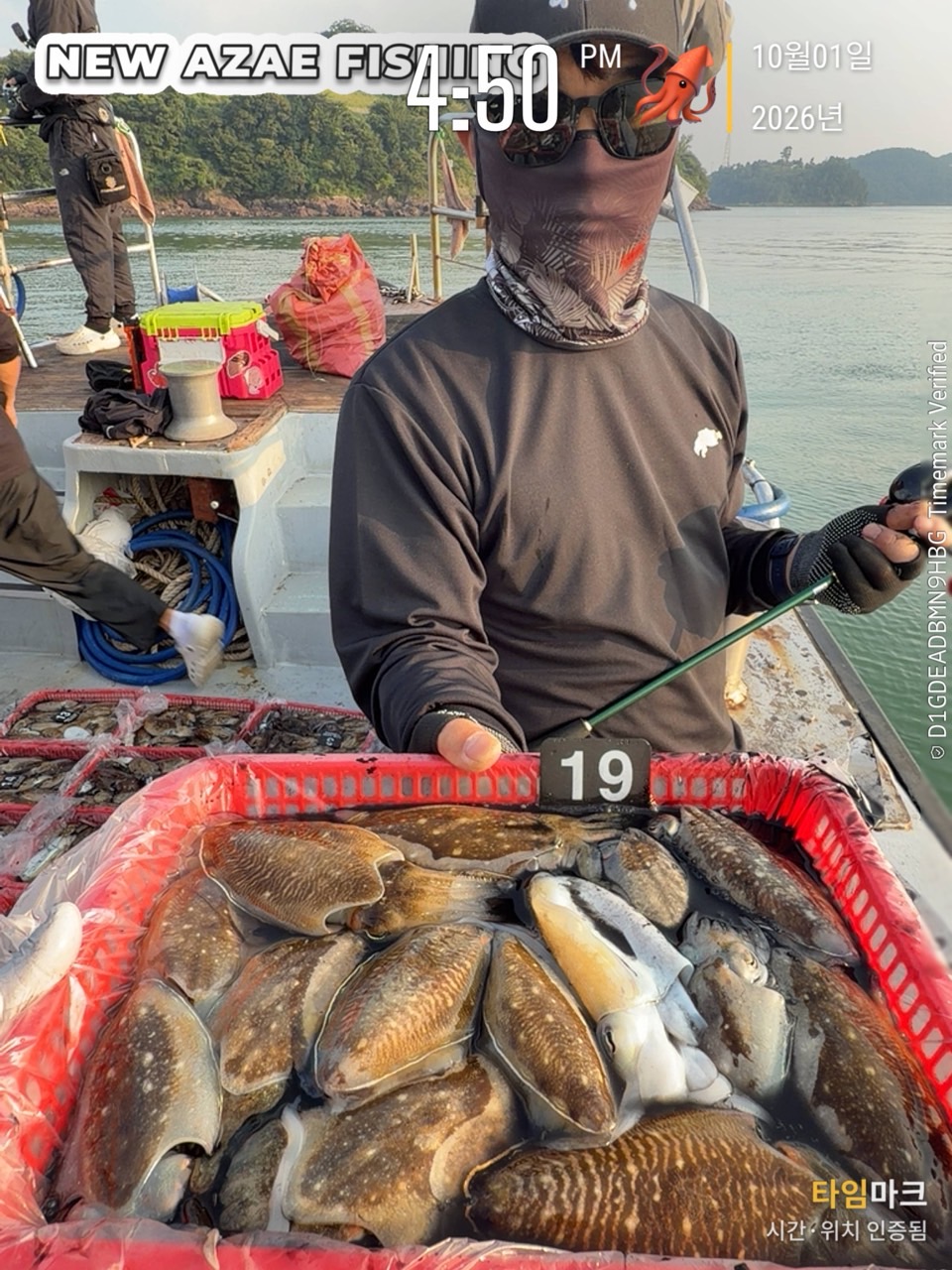 10월 1일 갑오징어 선상낚시 조황 현장 사진 7