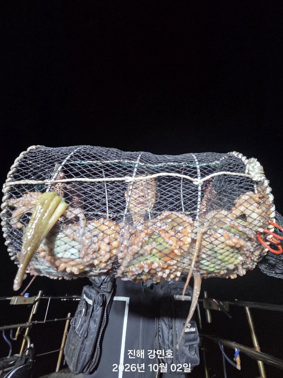 ����ڰ� �ø� �̹���